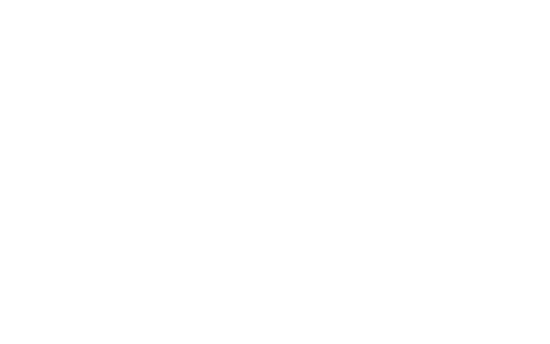 Nirvanna partner